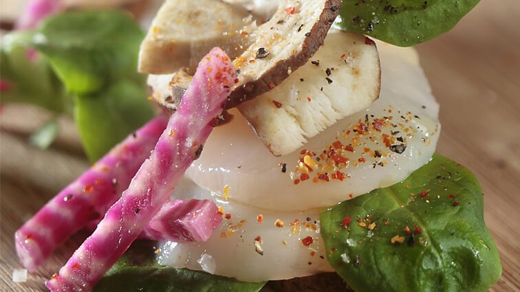 Recette : Superposition de cèpes et Saint-Jacques au naturel, huile de noisette et fleur de sel - TerreAzur