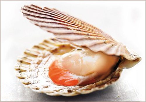 Recette : Noix de St-Jacques panées aux épices douces - EpiSaveurs