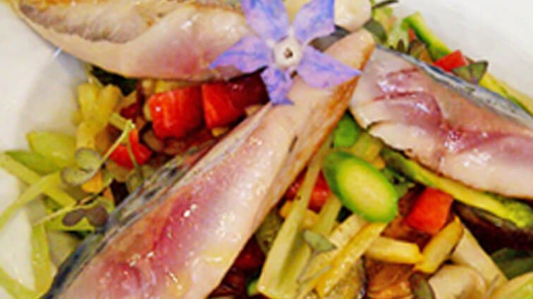 Recette : Minute de maquereau de ligne aux petits légumes - TerreAzur