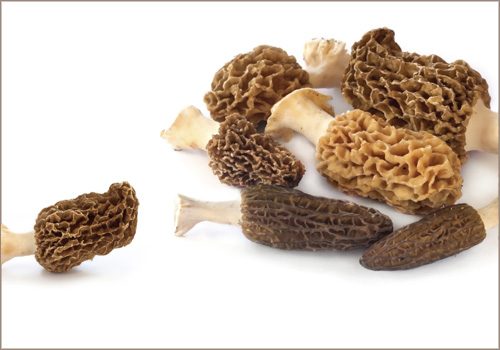 Recette : Strate de panais, patate douce et mélange forestier - EpiSaveurs