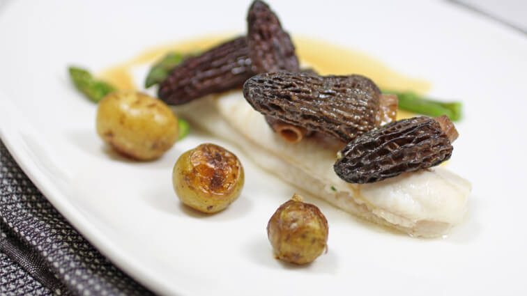 Recette : Filet de sole au naturel, quelques morilles fraîches et copeaux de foie gras - TerreAzur