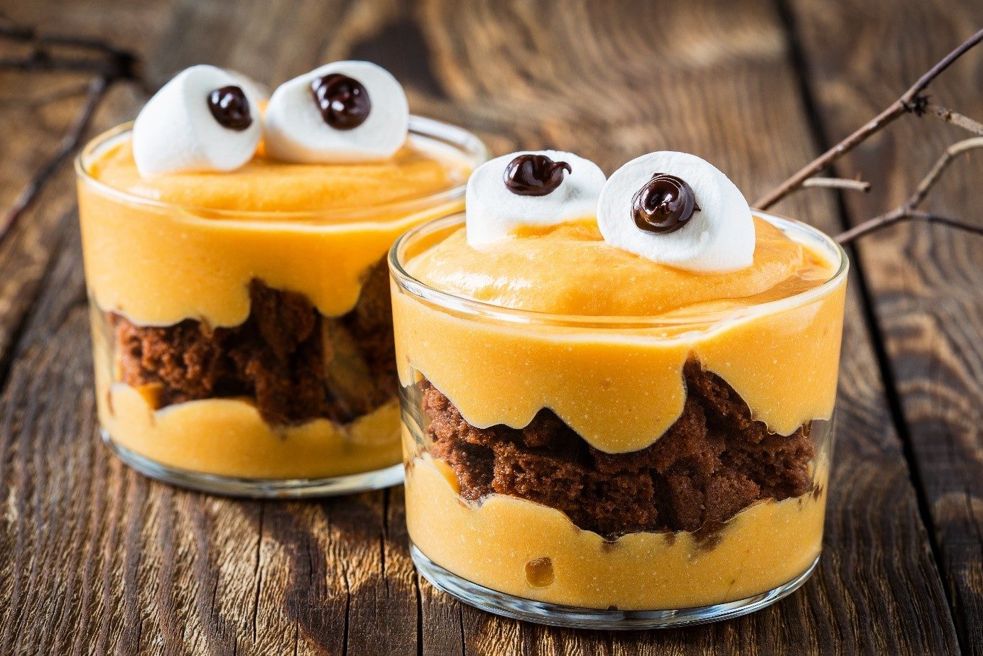 Recette : Tiramisu de potiron chocolaté pour Halloween - TerreAzur