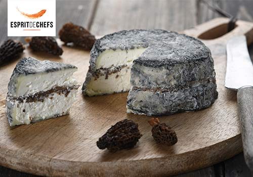 Recette : Fromage de chèvre cendré farcis aux morilles - EpiSaveurs