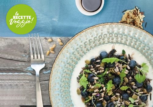 Recette : Salade de riz sauvage aux graines et myrtilles - EpiSaveurs